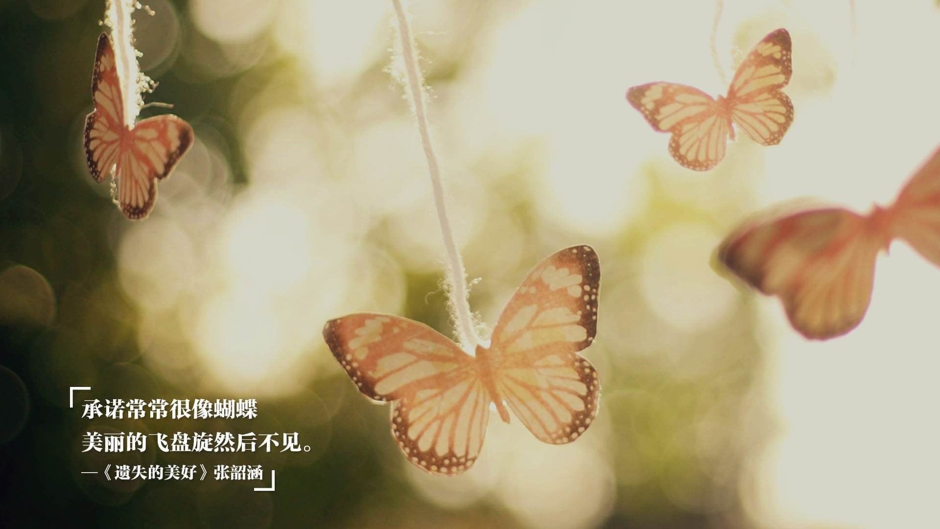 _知名运动员公益救援，展现职业风采_，运动员救人