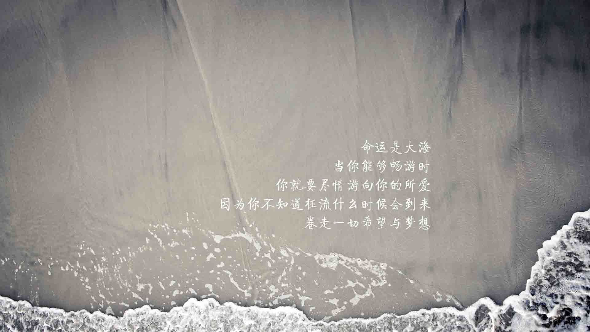 足球少年超级联赛，未来之星的舞台，中国足球少年未来之星