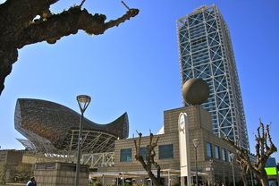 城市因赛而热,兴隆湖再塑文体融合新标杆,兴隆湖打造花了多少钱