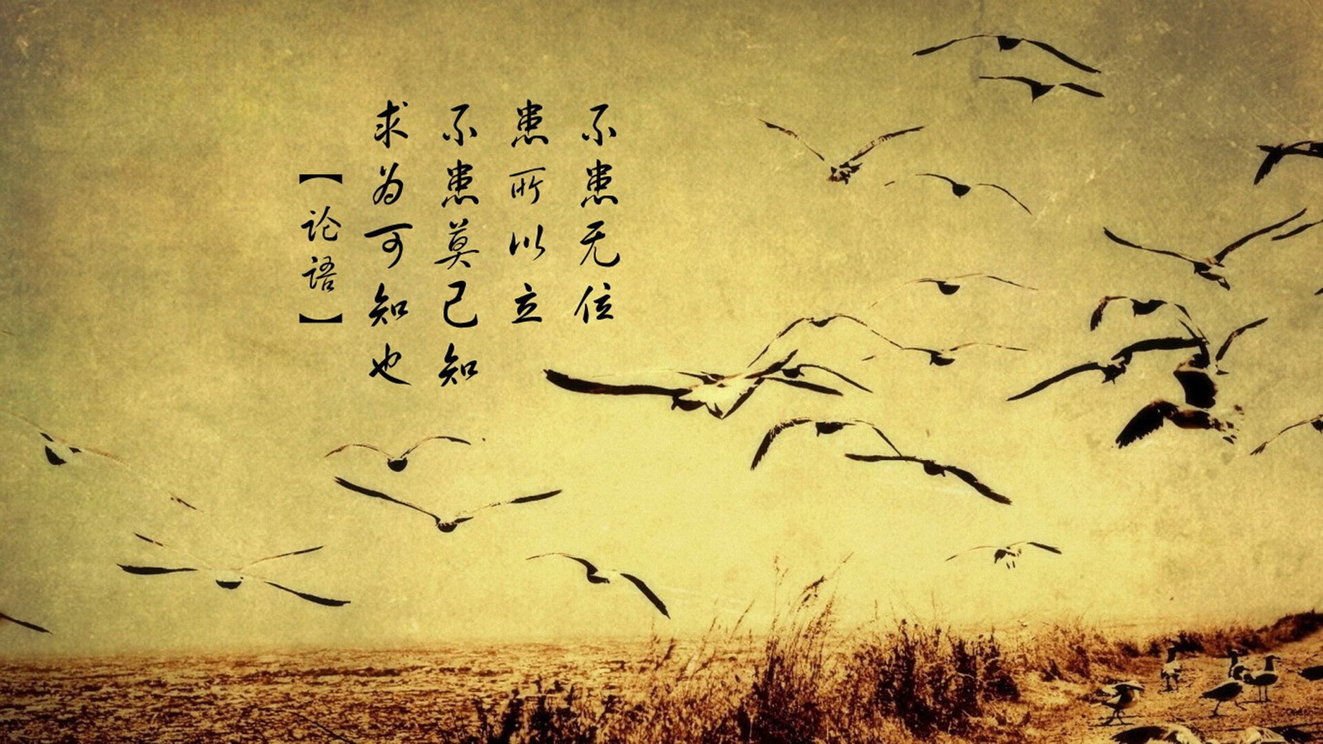 新秀表现超预期球队如何调整计划，新秀球员什么意思